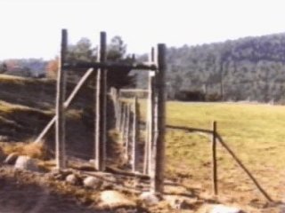 santos (1)